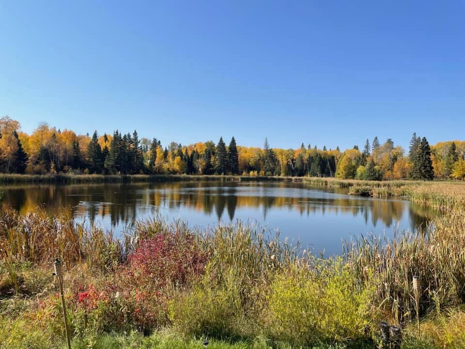 Emma Lake fall